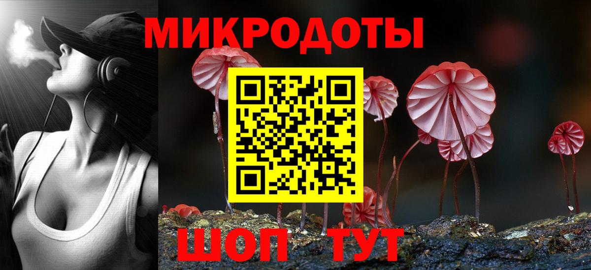 Галлюциногенные грибы Psilocybe Геленджик